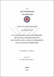 Küçük Resim