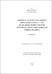 Küçük Resim