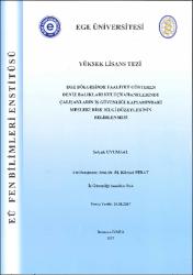 Küçük Resim