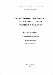 Küçük Resim