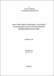 Küçük Resim