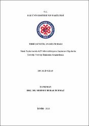 Küçük Resim