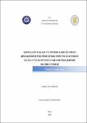 Küçük Resim
