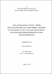 Küçük Resim