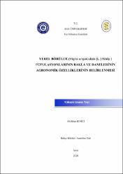 Küçük Resim