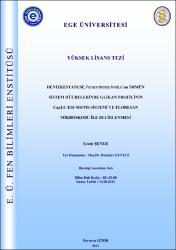Küçük Resim