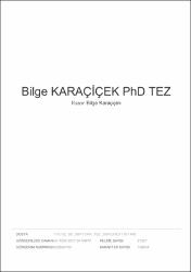 Küçük Resim