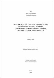 Küçük Resim