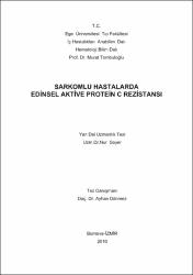 Küçük Resim