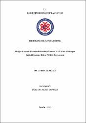 Küçük Resim