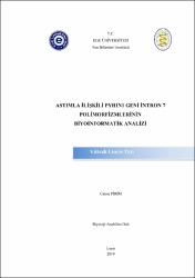 Küçük Resim
